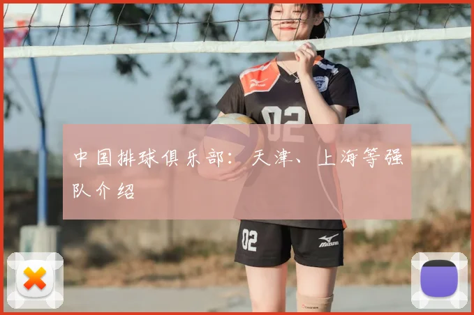 中国排球俱乐部:天津、上海等强队介绍