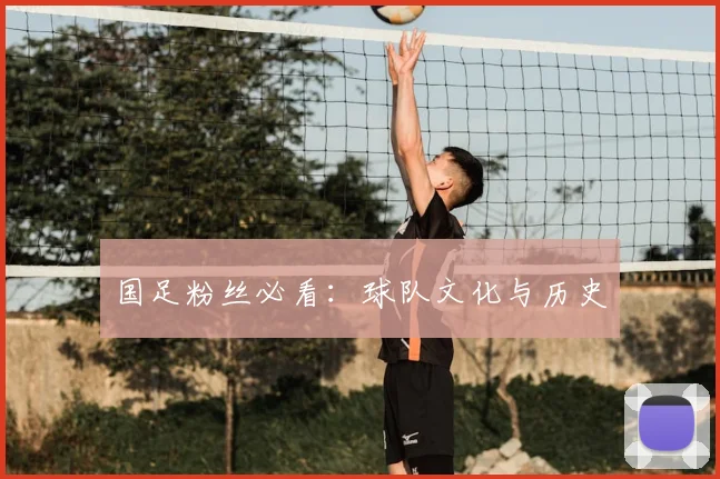 国足粉丝必看：球队文化与历史