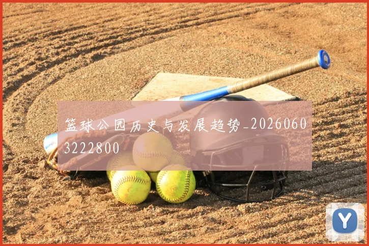 篮球公园历史与发展趋势_20260603222800