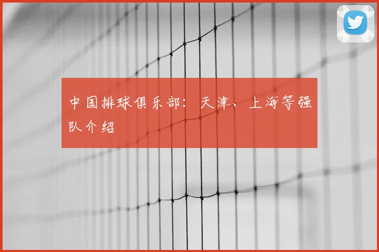 中国排球俱乐部:天津、上海等强队介绍